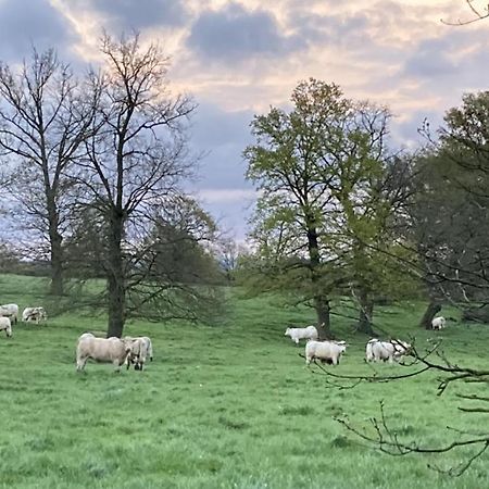 Villa Le Tarde - Crecerelle Saint-Désiré Esterno foto