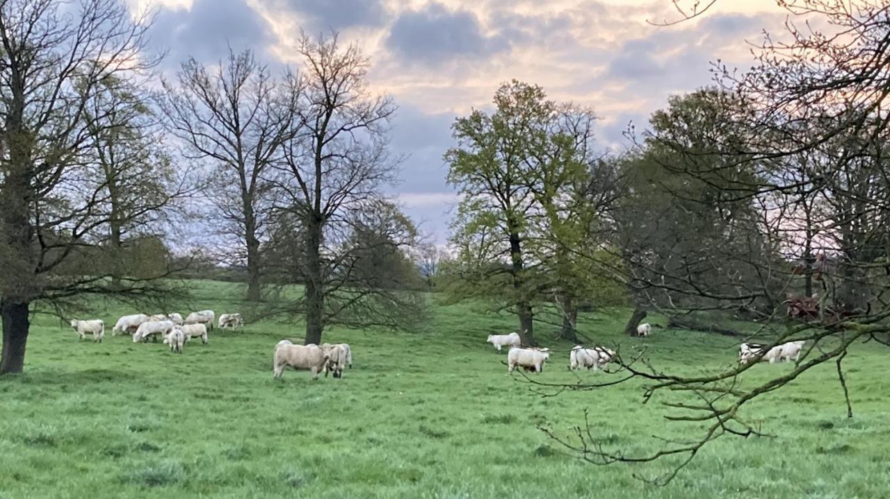 Villa Le Tarde - Crecerelle Saint-Désiré Esterno foto